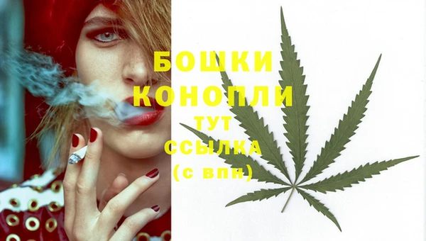 дживик Богородицк