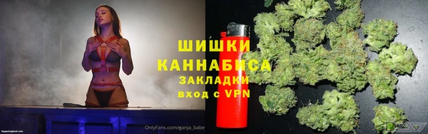 дживик Богородицк