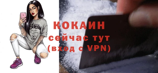 дживик Богородицк