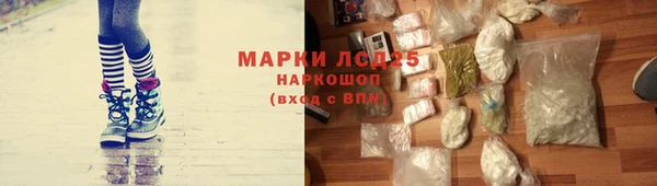 дживик Богородицк