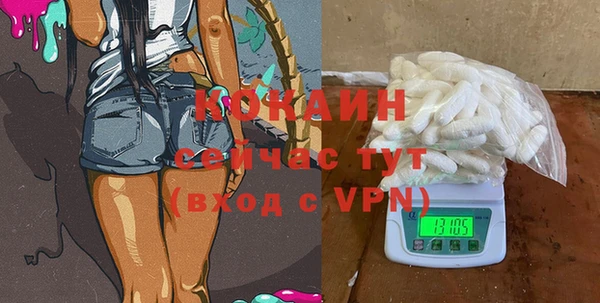 дживик Богородицк