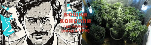 каннабис Богданович