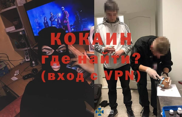 дживик Богородицк