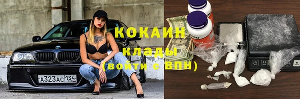 каннабис Богданович